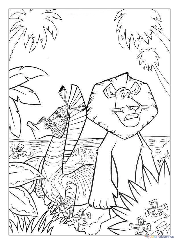 Desenhos de Madagascar para colorir