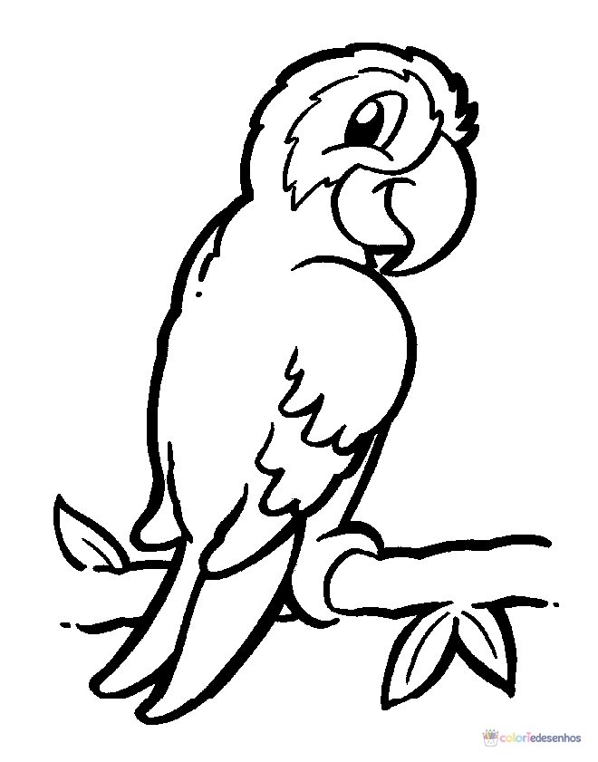 Desenhos de Pássaros para colorir